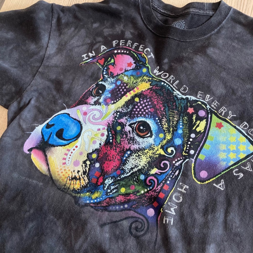 The Mountain T-Shirt Mens L Black Tie Dye Dean Russo Pitbull Graphic Art Tee